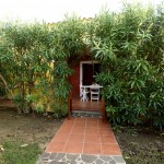 appartamento in affitto in Sardegna n. 601 - ingresso