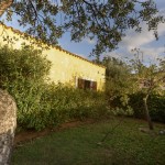 appartamento in affitto in Sardegna n. 601 - giardino